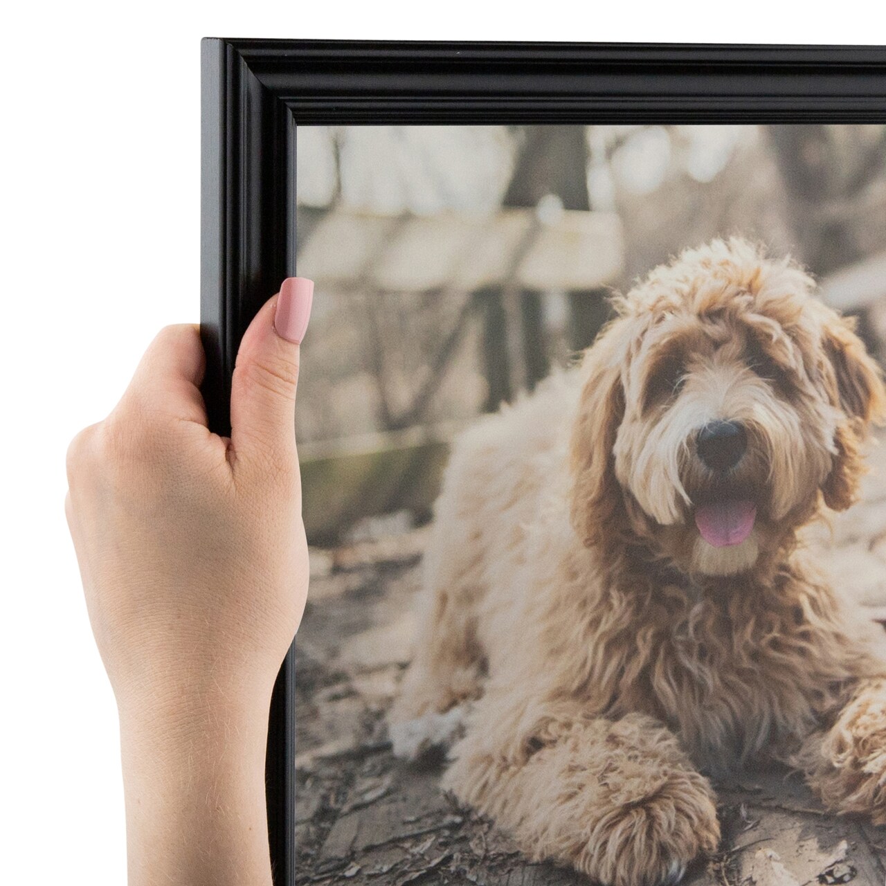 ArtToFrames 12x16 Inch  Picture Frame, This 1 Inch Custom Wood Poster Frame is Available in Multiple Colors, Great for Your Art or Photos - Comes with Regular Glass and  Corrugated Backing (A9IG)